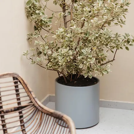 Greygreen By Holistay Apartmán