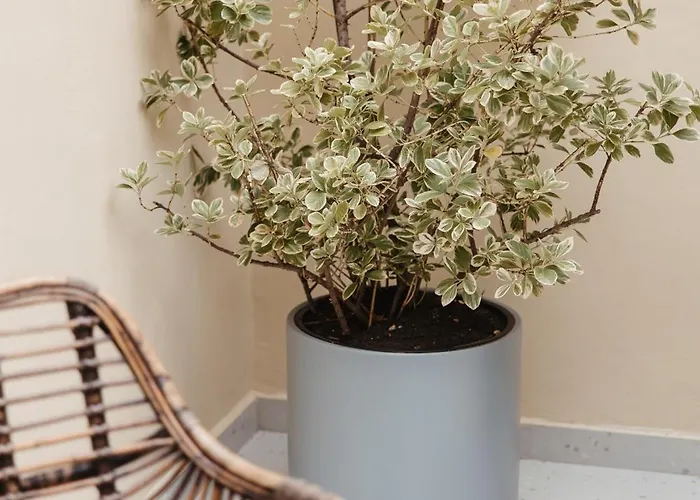 Greygreen By Holistay Apartamento