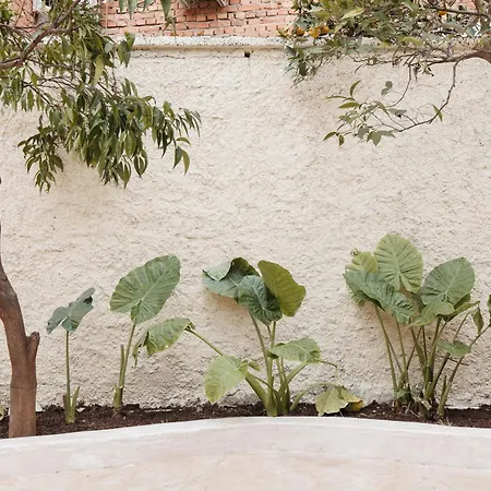 Appartement Greygreen By Holistay