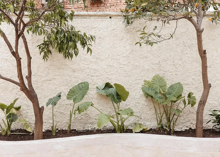 Apartment Greygreen By Holistay